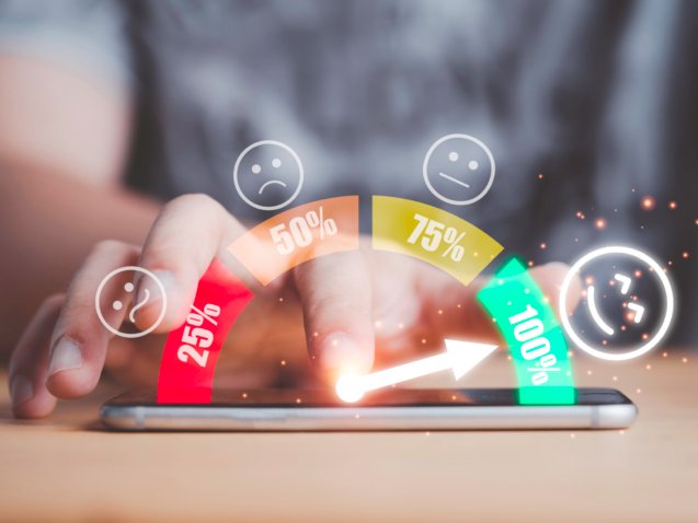 Consumer and Commercial CIBIL Scores
